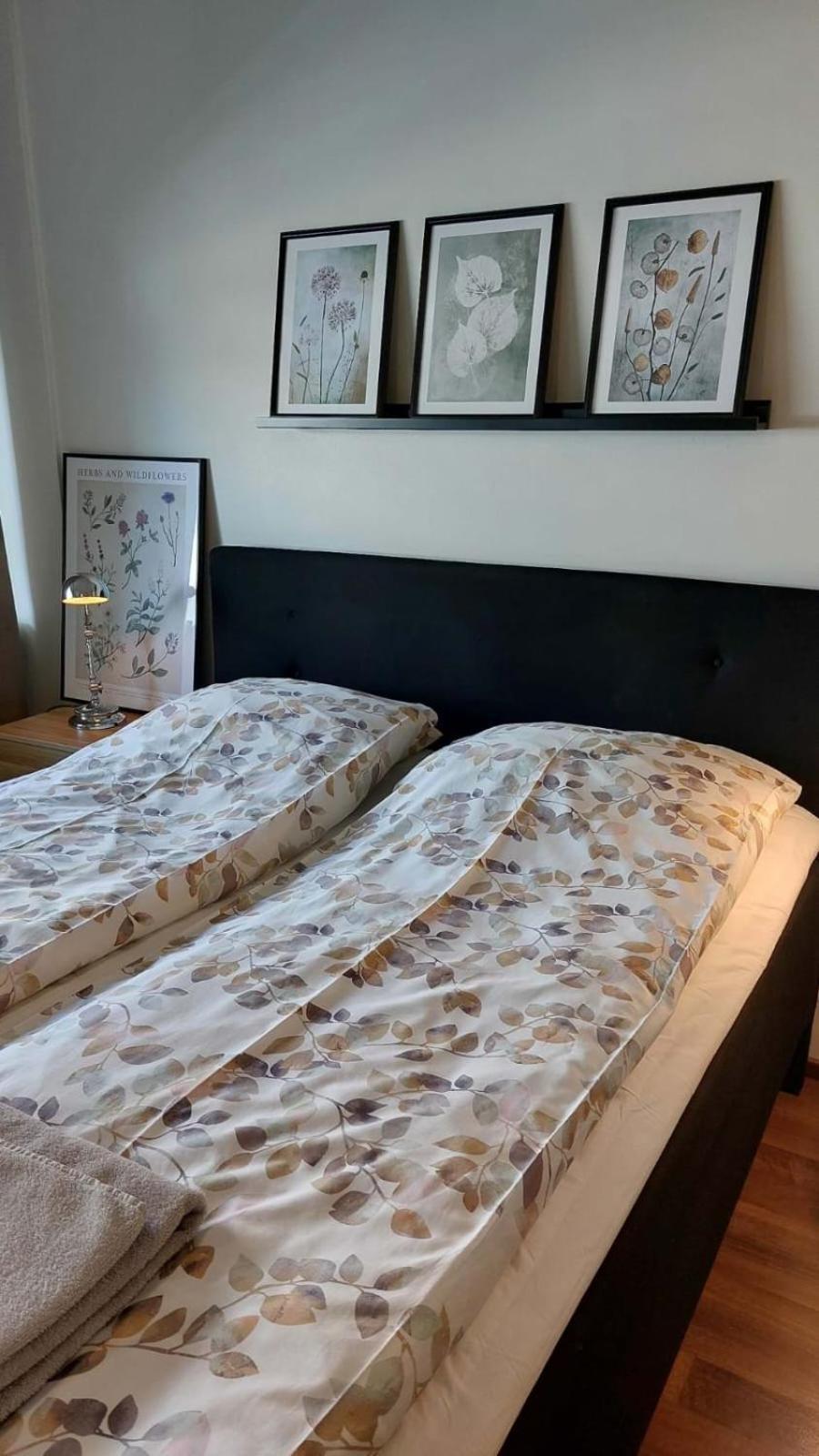 Scandinavian Home روفانييمي المظهر الخارجي الصورة