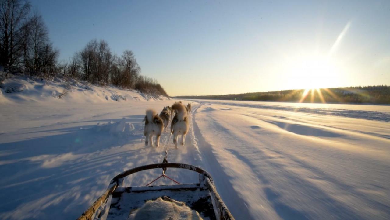 Scandinavian Home روفانييمي المظهر الخارجي الصورة